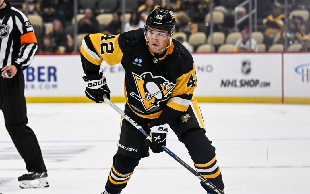 WDSE Welcomes Penguins’ Defenceman Libor Hajek to Client Roster